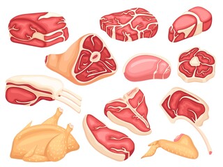 Raw meat collection. Pork preparing, fresh steak beef. Dinner or lunch ingredients, fresh farmers meats market. Isolated food sliced, neat vector set