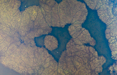 Textures of water mixed with land and vegetation. Aerial view over a delta lagoon. Environment...