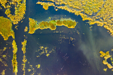 Textures of water mixed with land and vegetation. Aerial view over a delta lagoon. Environment...