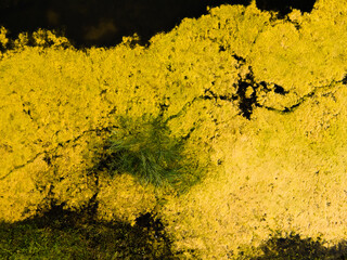 Textures of water mixed with land and vegetation. Aerial view over a delta lagoon. Environment...