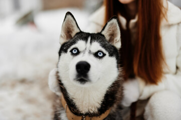 beautiful dog on a leash on the snow walk play rest winter holidays