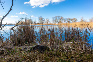 Fototapeta premium Donau bei Straubing im Februar
