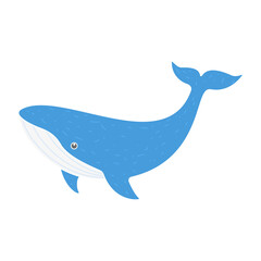 Whale blue animal. Sperm whale character. Ocean animal symbol. Vector isolated on white.