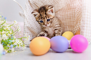 A striped kitten among Easter multicolored eggs
