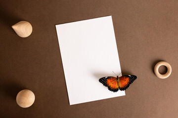 Fototapeta na wymiar White card with orange butterfly in retro style.Abstract creative background for text. Elegant, modern style. Romantic background.