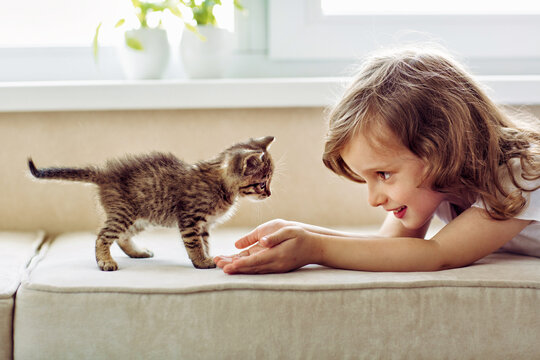 girl is playing with a striped kitten on the sofa