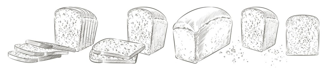 Set of sliced bread. The cut loaf of toast bread for sandwich. Logo, icon. Vector sketch realistic line vintage illustration