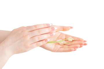 female hands with beautiful long nails with  flowers isolated on white background