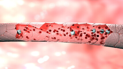 3D Rendering of Blood Vessel