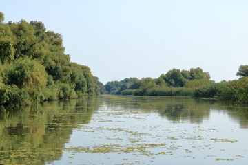 a small river channel in the Danube Delta