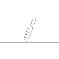 Continuous line drawing of carrot, doodle icon, object one line, single line art, vector illustration