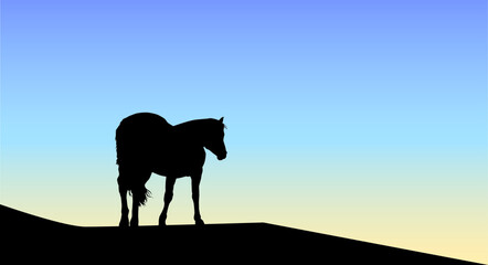 Fototapeta premium silhouette of horse