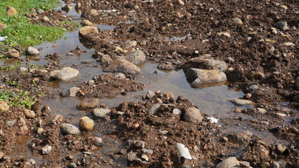 A way in the mud and puddles on the dirty road. Mud puddles after rain, dirty ground.