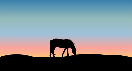 Fototapeta na wymiar Horse grazing in pasture in sunset light