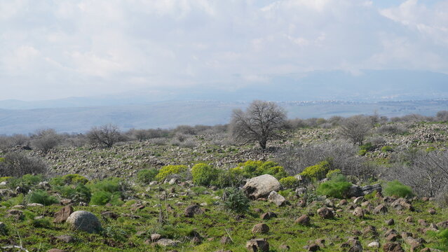 Panoramic view of Landscape along the Zavitan Stream, in Yehudiya Forest Nature Reserve, the Golan Heights, Northern Israel