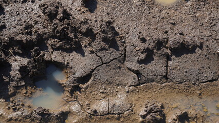 A way in the mud and puddles on the dirty road. Mud puddles after rain, dirty ground.