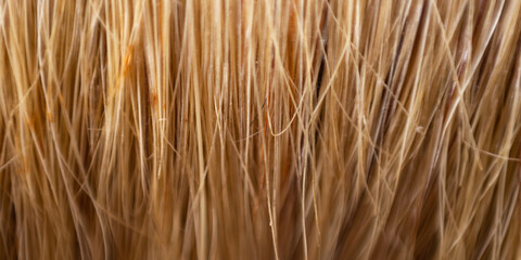 The bristles of the paint brush. Macro photo. Soft focus. Panorama.