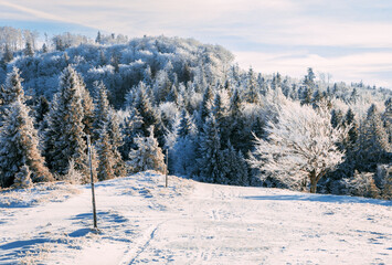 Fototapeta na wymiar Trekking trail in winter mountains panoramic view of frozen field and forest