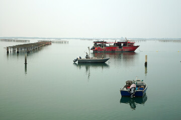 Barche di pescatori con allevamento di mitili nel mare di Chioggia laguna di Venezia Italia