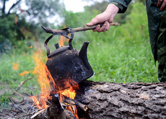 campfire in the forest