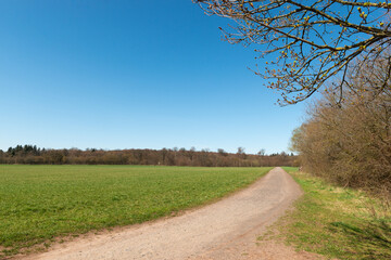 Obraz premium country road in spring