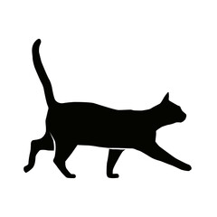 CHAT 5 PICTO VECTEUR