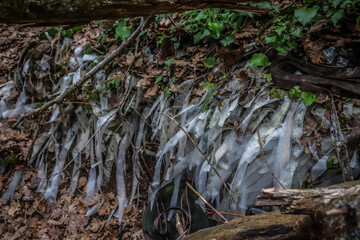 Old film reels covered by nature in an abandoned urbex location, creating a haunting and nostalgic scene