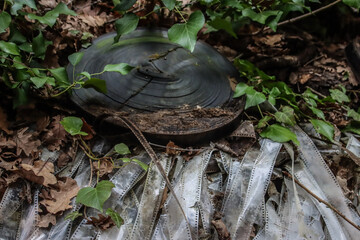 Old film reels covered by nature in an abandoned urbex location, creating a haunting and nostalgic scene