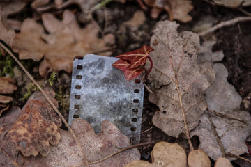 Old film reels covered by nature in an abandoned urbex location, creating a haunting and nostalgic scene
