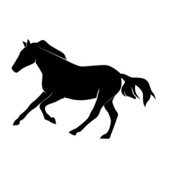 CHEVAL 5 PICTO VECTEUR