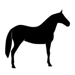 CHEVAL 3 PICTO VECTEUR