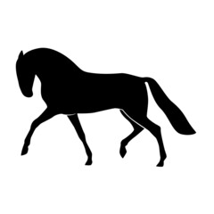 Obraz premium CHEVAL 2 PICTO VECTEUR