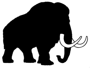 Obraz premium Black and white vector silhouette of an adult with large tusks walking mammoth.Isolated on a white background. 