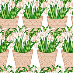 Seamless vector pattern with spring snowdrops isolated on white background. Spring flower backdrop.