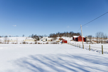 Empty Snowy Field with an Amish Farm and Homestead in Background Underneath a Deep Blue Sky