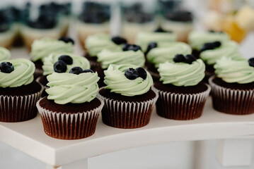 cupcakes with cream and chocolate