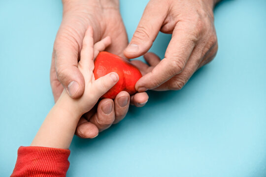Adult and children's hands holding a red heart - the concept of health, love and family. Mother's Day, health Day.