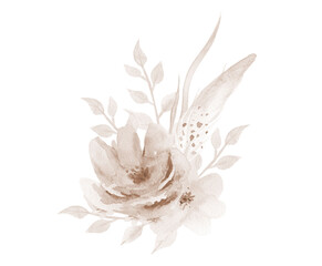 Watercolour Leaves flower illustration Dried Painting isolated on white background.