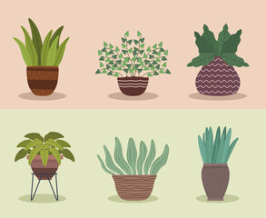 six houseplants gardening icons