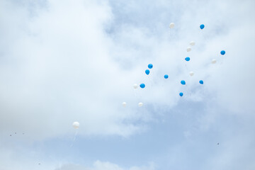 multicolored balloons in the sky. pink and blue balloons in the sky. celebration