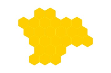 Honeycombs on an isolated white background. Vector illustration of geometric hexagons background.