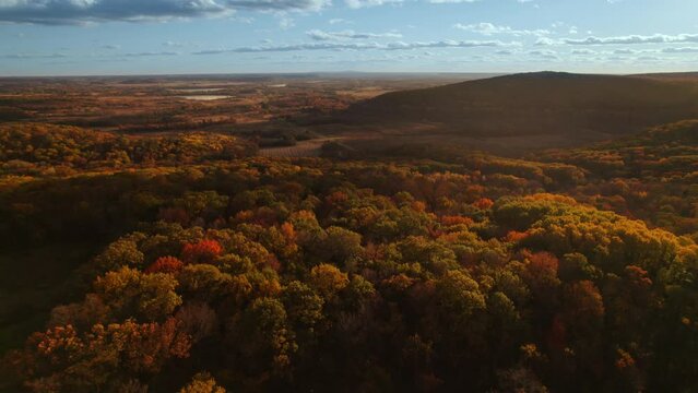 Fall foliage flight over a colorful forrest in Wisconsin.