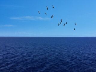 Fototapeta na wymiar Western Caribbean Sea