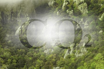 Planting more Co2 text against green trees