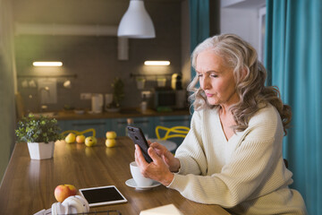 healthy seniors lifestyle. online communication. elderly woman uses a smartphone at home. blogging,...