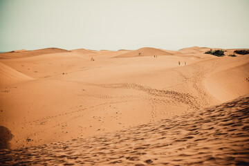 Gran Canaria las dunas