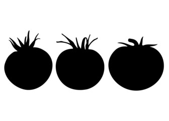 Tomatoes in a set. Vector image.
