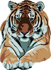 illustration of a tiger against a white background