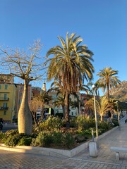 Menton, France - January 30, 2022. Before sunset, the last beams of the sun. Park with palms, and...