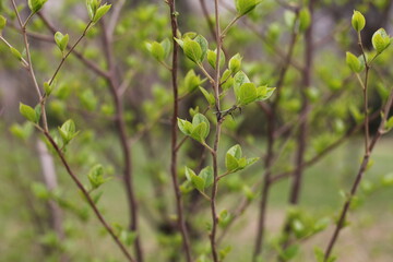 봄이 느껴지는 새싹